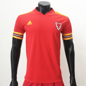 Wales 2020 Home Jersey