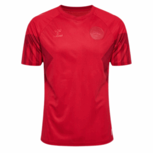 Maglia Danimarca 2022 Home Cup