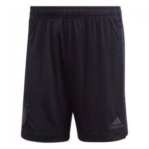 Deutschland 2021 Away Shorts