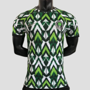 Nigeria 2022 Heimspieler Version Trikot